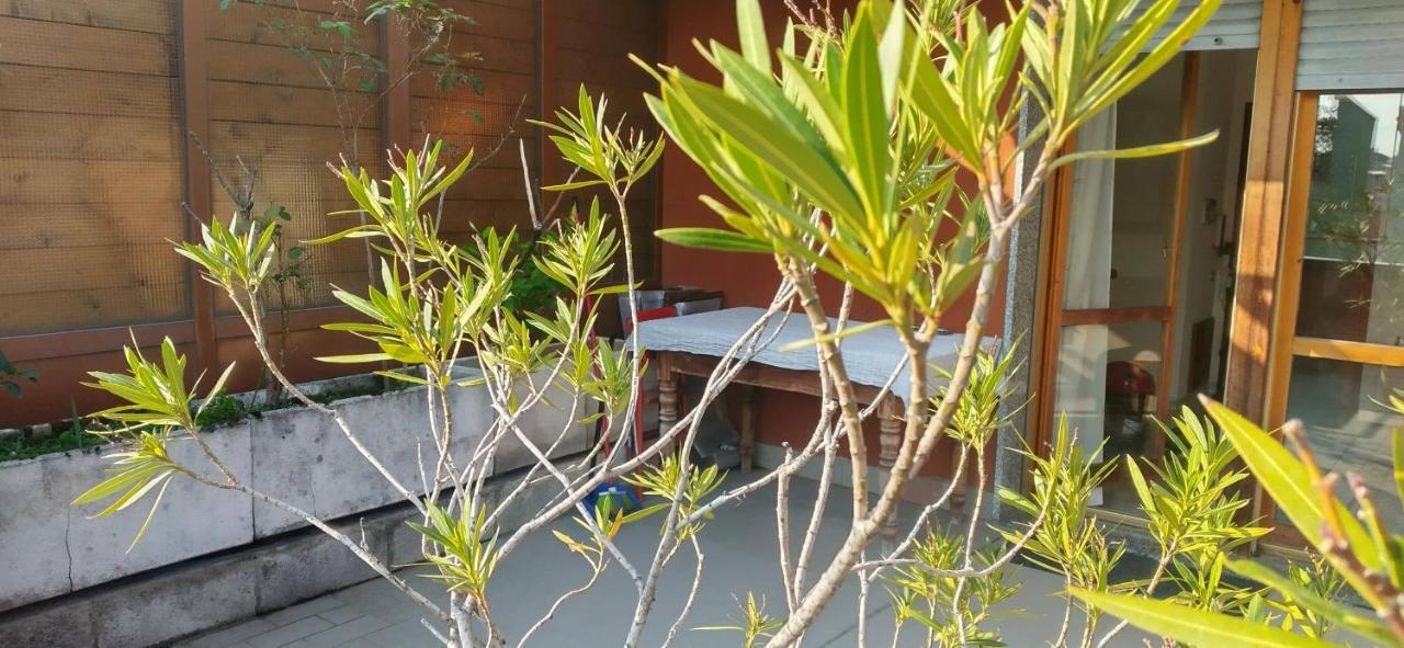 Meraviglioso Super Attico Con Terrazza Apartment